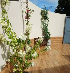 Piso retificado estilo madeira em área com jardim, assentado há mais de um ano.